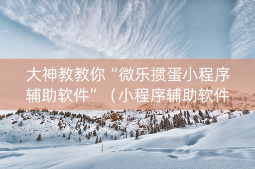 大神教教你“微乐掼蛋小程序辅助软件”（小程序辅助软件)