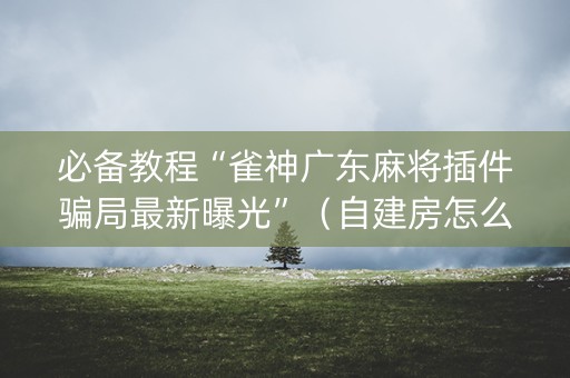 必备教程“雀神广东麻将插件骗局最新曝光”（自建房怎么赢)