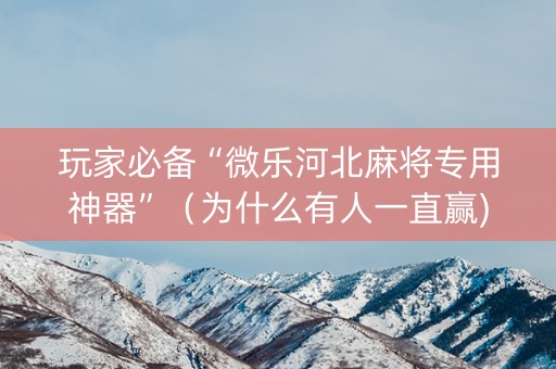 玩家必备“微乐河北麻将专用神器”（为什么有人一直赢)