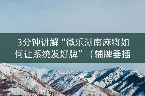3分钟讲解“微乐湖南麻将如何让系统发好牌”（辅牌器插件购买)