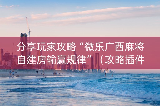 分享玩家攻略“微乐广西麻将自建房输赢规律”（攻略插件)