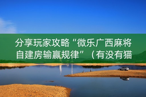 分享玩家攻略“微乐广西麻将自建房输赢规律”（有没有猫腻)