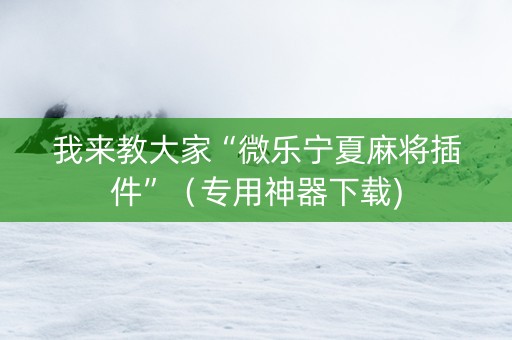 我来教大家“微乐宁夏麻将插件”（专用神器下载)
