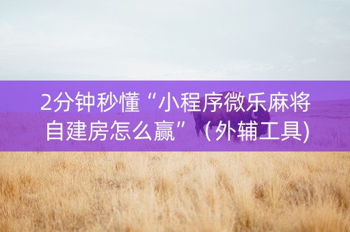 2分钟秒懂“小程序微乐麻将自建房怎么赢”（外辅工具)