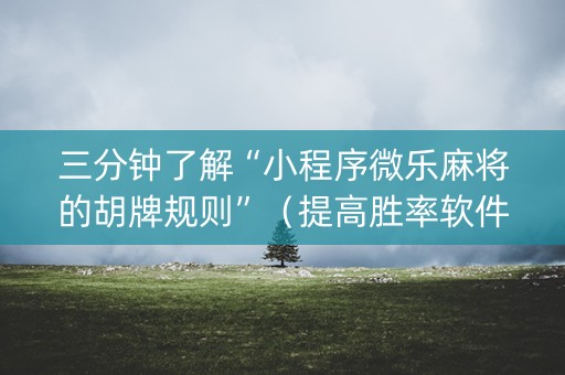 三分钟了解“小程序微乐麻将的胡牌规则”（提高胜率软件)