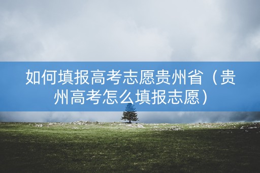 如何填报高考志愿贵州省（贵州高考怎么填报志愿）