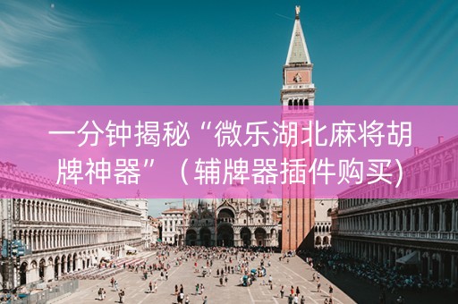 一分钟揭秘“微乐湖北麻将胡牌神器”（辅牌器插件购买)