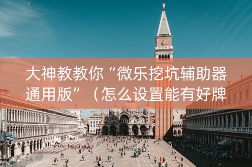 大神教教你“微乐挖坑辅助器通用版”（怎么设置能有好牌)