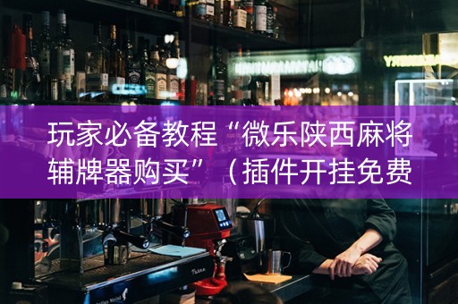 玩家必备教程“微乐陕西麻将辅牌器购买”（插件开挂免费AI)