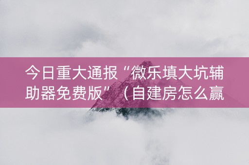 今日重大通报“微乐填大坑辅助器免费版”（自建房怎么赢)