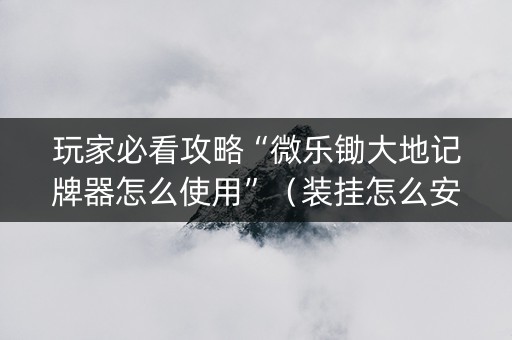 玩家必看攻略“微乐锄大地记牌器怎么使用”（装挂怎么安装)