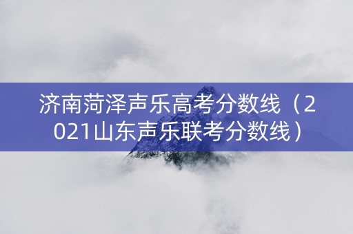 济南菏泽声乐高考分数线（2021山东声乐联考分数线）