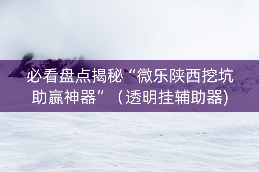 必看盘点揭秘“微乐陕西挖坑助赢神器”（透明挂辅助器)
