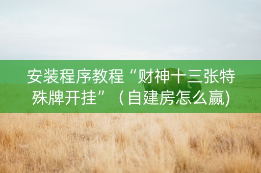 安装程序教程“财神十三张特殊牌开挂”（自建房怎么赢)