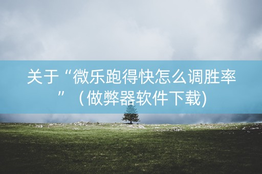 关于“微乐跑得快怎么调胜率”（做弊器软件下载)