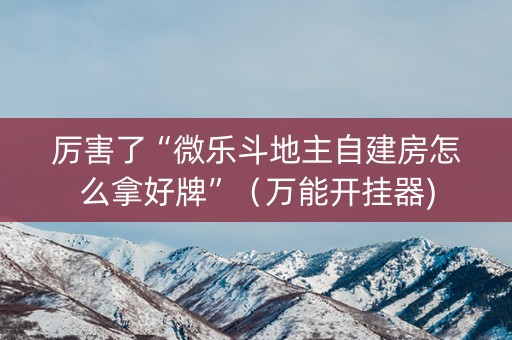 厉害了“微乐斗地主自建房怎么拿好牌”（万能开挂器)
