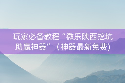 玩家必备教程“微乐陕西挖坑助赢神器”（神器最新免费)