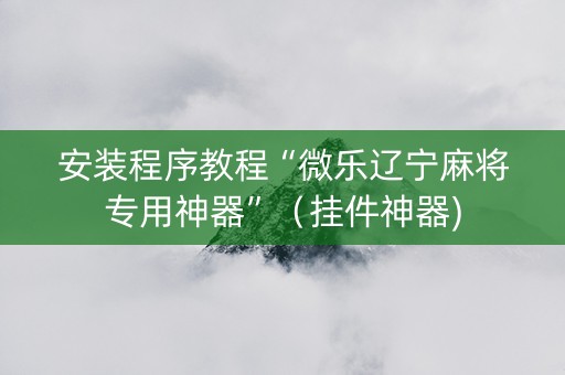 安装程序教程“微乐辽宁麻将专用神器”（挂件神器)