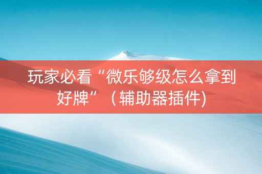 玩家必看“微乐够级怎么拿到好牌”（辅助器插件)