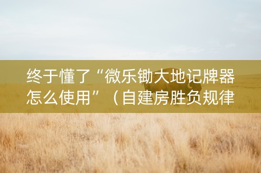 终于懂了“微乐锄大地记牌器怎么使用”（自建房胜负规律)