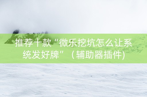 推荐十款“微乐挖坑怎么让系统发好牌”（辅助器插件)