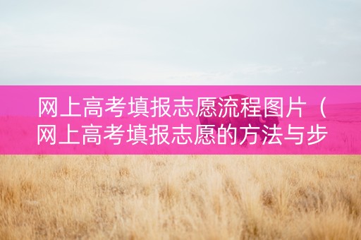 网上高考填报志愿流程图片（网上高考填报志愿的方法与步骤）