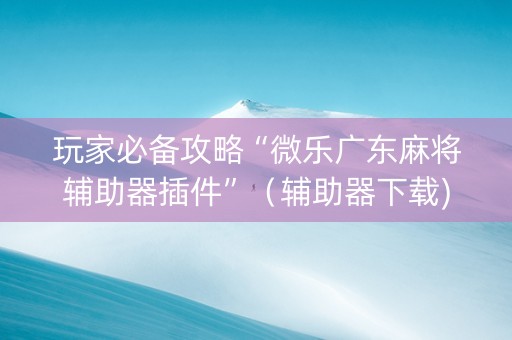 玩家必备攻略“微乐广东麻将辅助器插件”（辅助器下载)