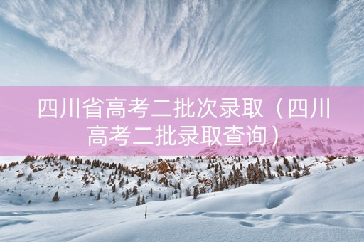 四川省高考二批次录取（四川高考二批录取查询）
