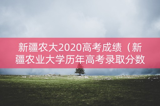 新疆农大2020高考成绩（新疆农业大学历年高考录取分数线）
