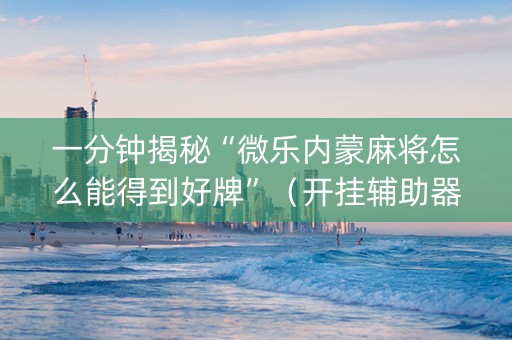 一分钟揭秘“微乐内蒙麻将怎么能得到好牌”（开挂辅助器插件)