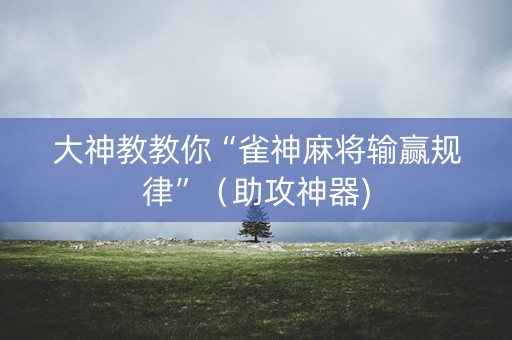 大神教教你“雀神麻将输赢规律”（助攻神器)