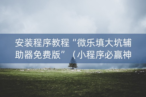 安装程序教程“微乐填大坑辅助器免费版”（小程序必赢神器)