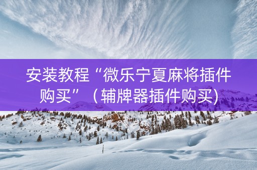 安装教程“微乐宁夏麻将插件购买”（辅牌器插件购买)