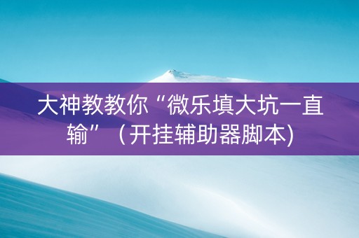 大神教教你“微乐填大坑一直输”（开挂辅助器脚本)