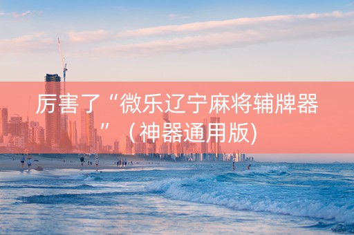 厉害了“微乐辽宁麻将辅牌器”（神器通用版)