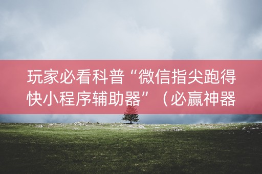 玩家必看科普“微信指尖跑得快小程序辅助器”（必赢神器免费安装)