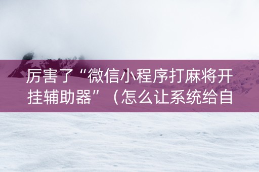 厉害了“微信小程序打麻将开挂辅助器”（怎么让系统给自己好牌)