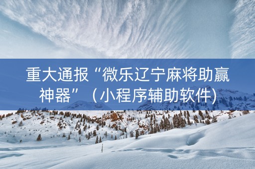 重大通报“微乐辽宁麻将助赢神器”（小程序辅助软件)
