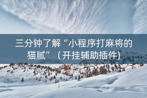 三分钟了解“小程序打麻将的猫腻”（开挂辅助插件)