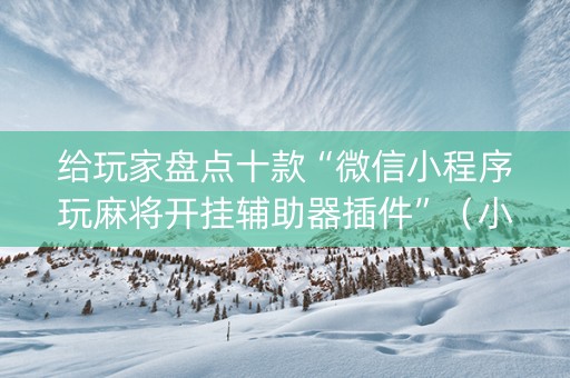 给玩家盘点十款“微信小程序玩麻将开挂辅助器插件”（小程序必赢神器)