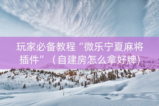 玩家必备教程“微乐宁夏麻将插件”（自建房怎么拿好牌)