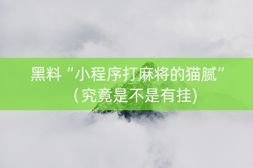 黑料“小程序打麻将的猫腻”（究竟是不是有挂)