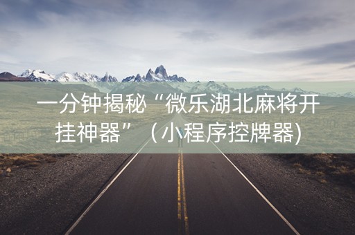 一分钟揭秘“微乐湖北麻将开挂神器”（小程序控牌器)