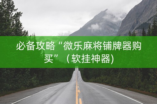 必备攻略“微乐麻将铺牌器购买”（软挂神器)