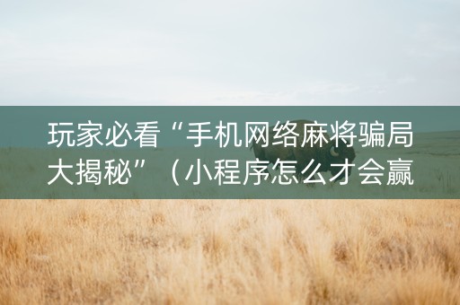玩家必看“手机网络麻将骗局大揭秘”（小程序怎么才会赢)
