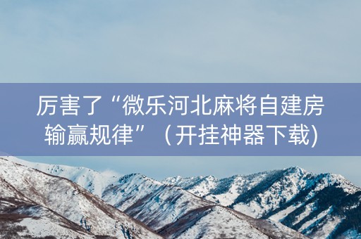 厉害了“微乐河北麻将自建房输赢规律”（开挂神器下载)