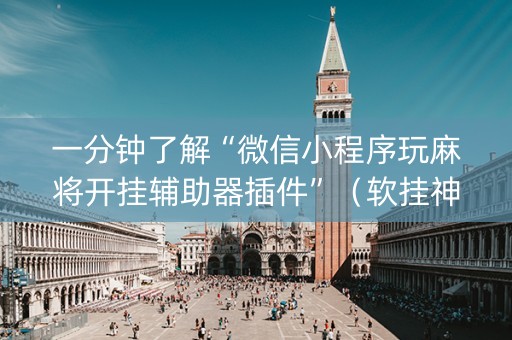 一分钟了解“微信小程序玩麻将开挂辅助器插件”（软挂神器)