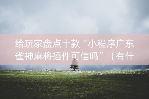 给玩家盘点十款“小程序广东雀神麻将插件可信吗”（有什么诀窍)