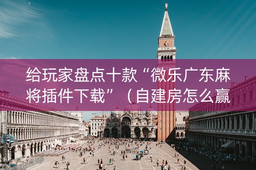 给玩家盘点十款“微乐广东麻将插件下载”（自建房怎么赢)