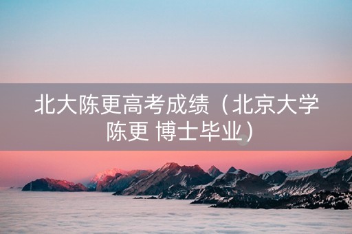 北大陈更高考成绩（北京大学 陈更 博士毕业）